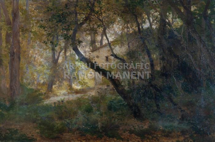 -PAISATGE- JOSEP MASRIERA 
MUSEU DE L´EMPORDÀ