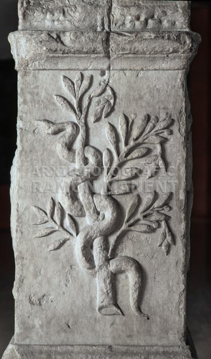 ARA ROMANA DEDICADA A SALUS PROCEDENT DEL TEMPLE DE CARTAGENA 
M A C