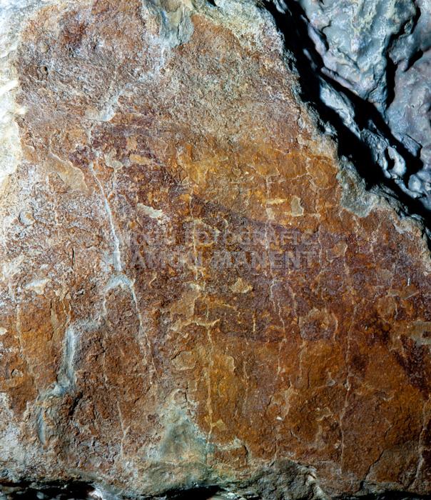 PINTURES RUPESTRES DE CRETES 
M A C