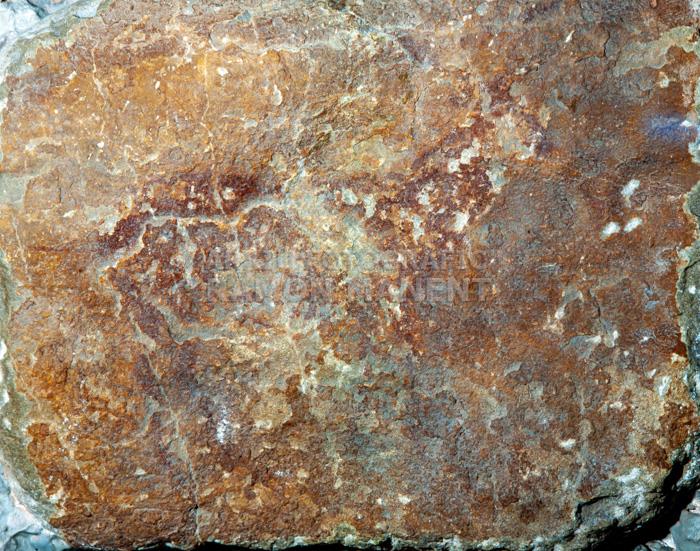 PINTURES RUPESTRES DE CRETES 
M A C