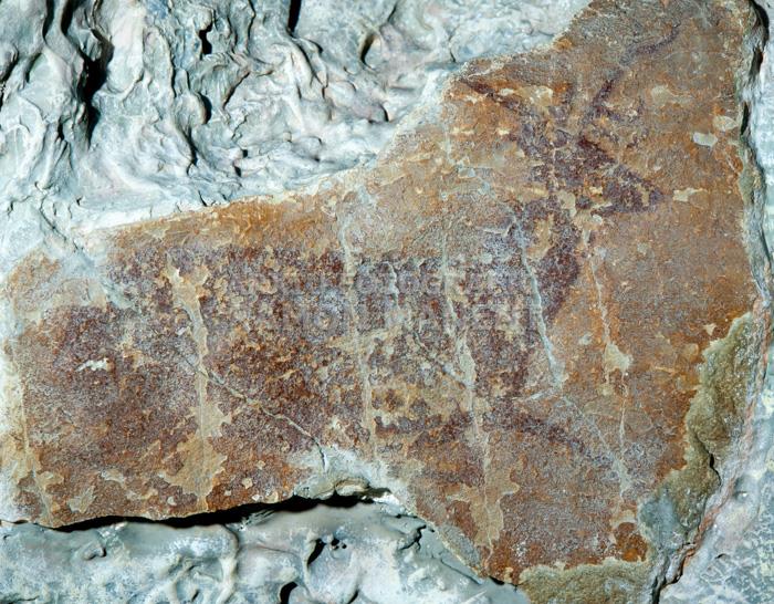 PINTURES RUPESTRES DE CRETES 
M A C