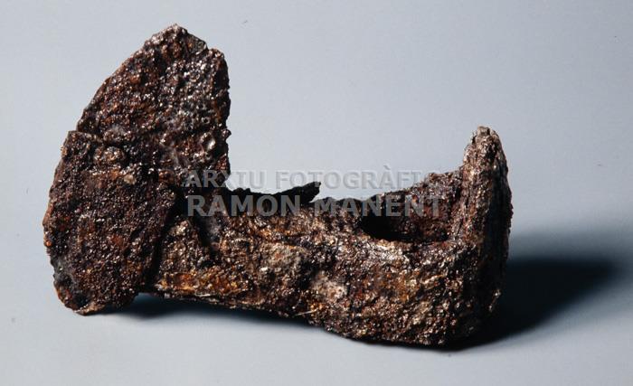 DESTRAL S VII PROCEDENT DE PUIG ROM ROSES 
M A C (GIRONA)