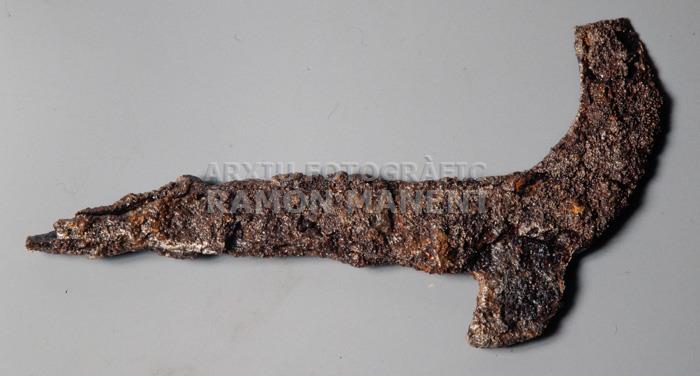 PODALL S VII PROCEDENT DE PUIG ROM ROSES 
M A C (GIRONA)