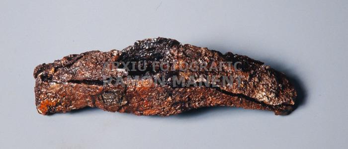 MARTELL S VII PROCEDENT DE PUIG ROM ROSES 
M A C (GIRONA)