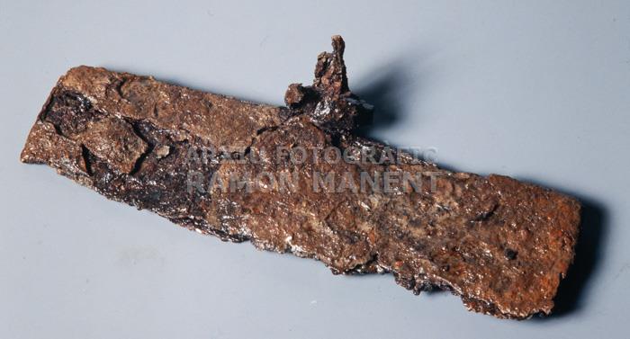 AIXADA S VII PROCEDENT DE PUIG ROM ROSES 
M A C (GIRONA)