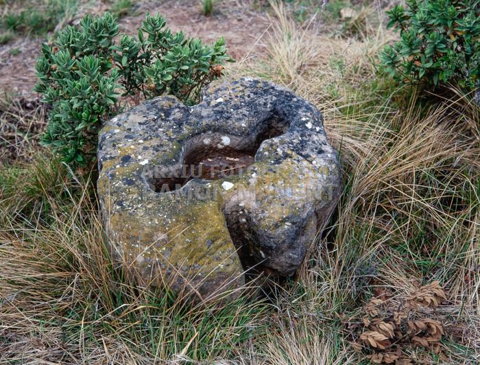 JACIMENT DE VILACLARA S VII 
CONTRAPÈS DE PREMSA 
