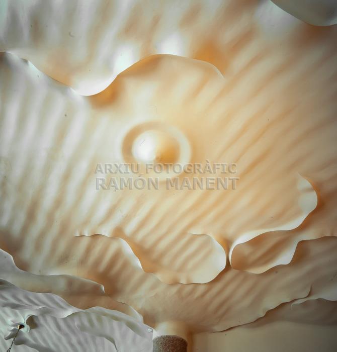 CASA MILÀ -LA PEDRERA- INTERIOR SOSTRES