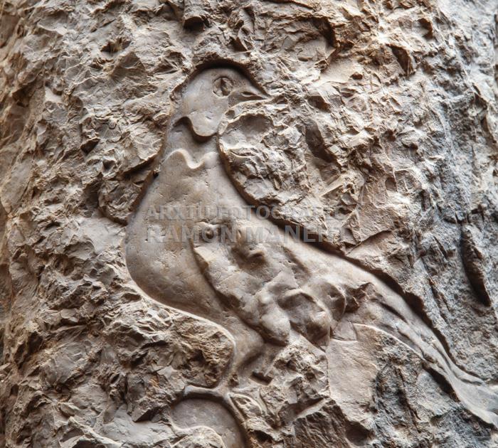 LA PEDRERA DETALL COLUMNA PIS PRICIPAL