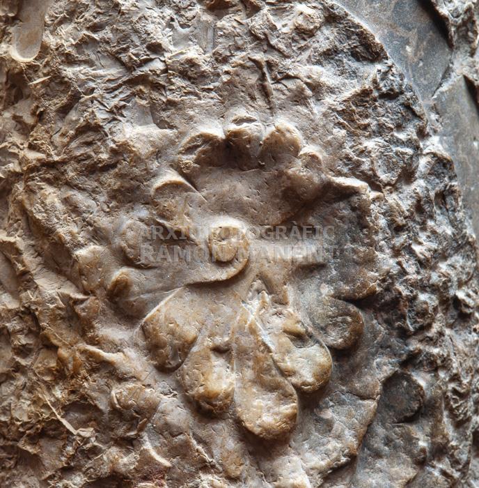 LA PEDRERA DETALL COLUMNA PIS PRICIPAL