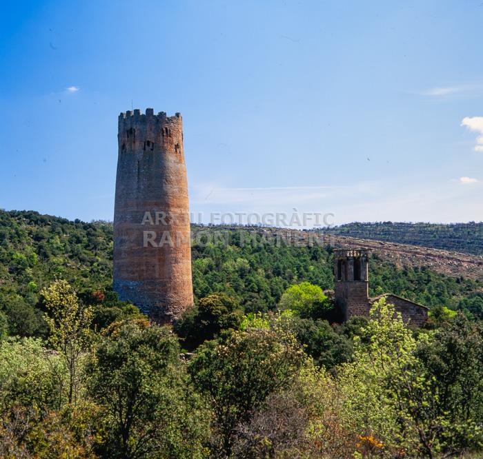 CASTELL DE VALLFEROSA S XI
