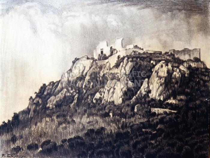 -CASTELL DE BURRIACH-
C P