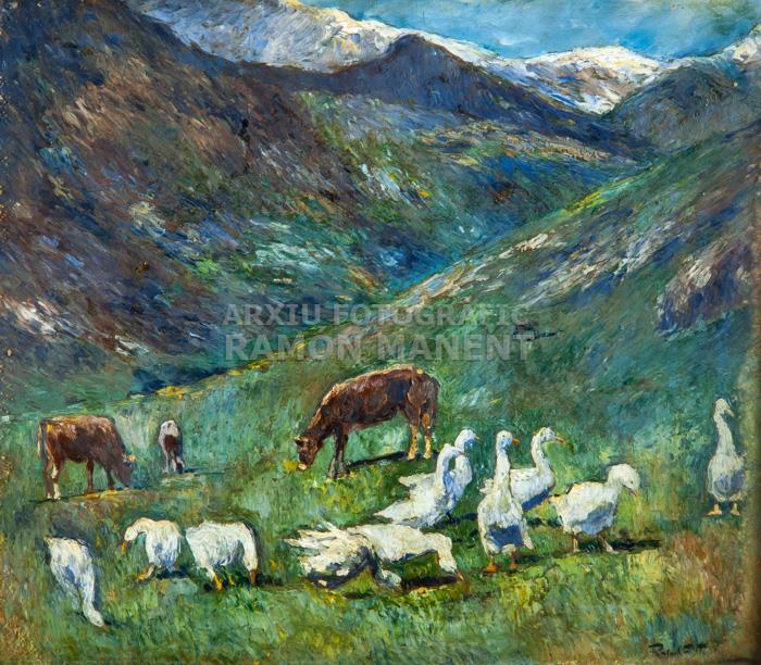 -PAISATGE AMB OQUES-
C P