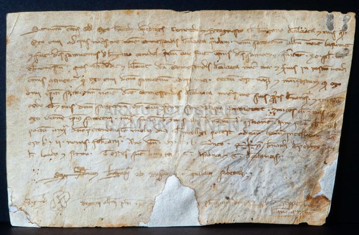 VENDA D´UN ESCLAU DE RAÇA BLANCA 
BIBLIOTECA DEL COL LEGI D´ADVOCATS