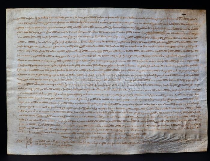 VENDA PEÇA DE TERRA AMB CENS D´UN MOLI ELEVAT 
BIBLIOTECA COL LEGI D´ADVOCATS