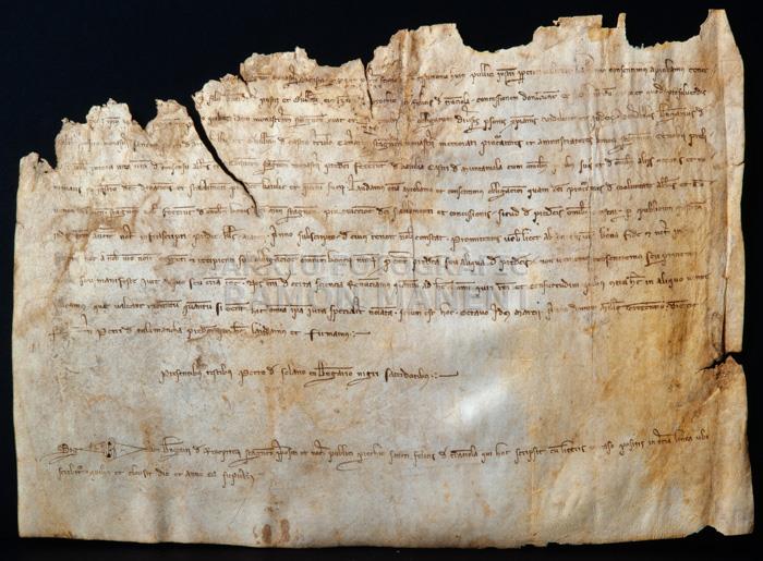 CONCESSIO DE BATLLIA 
BIBLIOTECA COL LEGI D´ADVOCATS