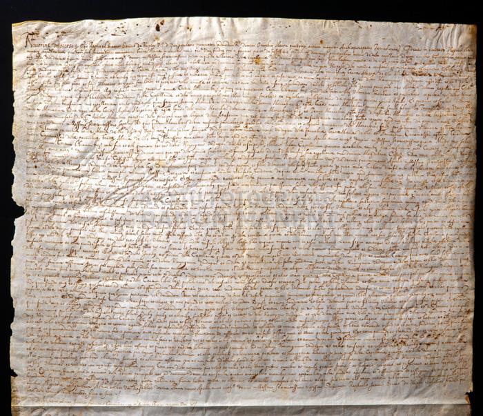 LLUCIÓ D´UN CENSAL 
BIBLIOTECA COL LEGI D´ADVOCATS