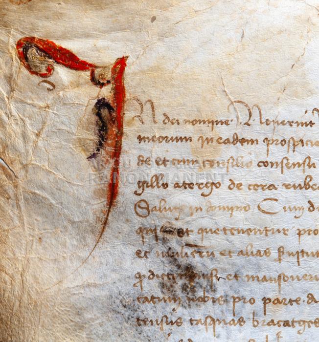 CAPLLETRA DOCUMENT -MALS USOS-
BIBLIOTECA COL LEGI ADVOCATS