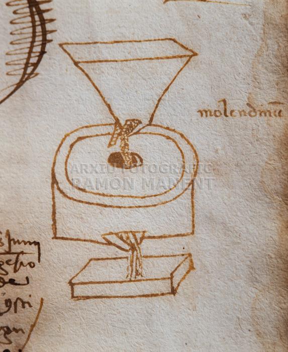 -LLIBRE PRIVILEGIS DE GIRONA-DETALL 
BIBLIOTECA COL LEGI ADVOCATS