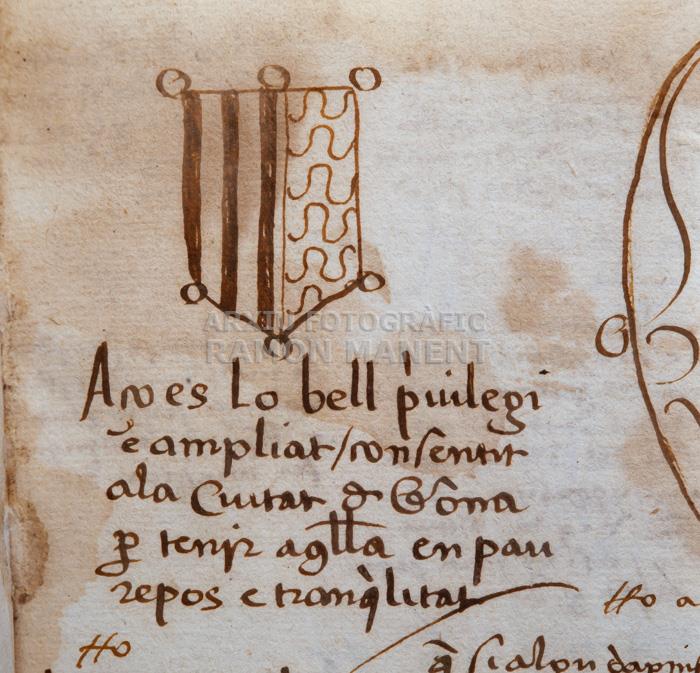 -LLIBRE PRIVILEGIS DE GIRONA-DETALL 
BIBLIOTECA COL LEGI ADVOCATS