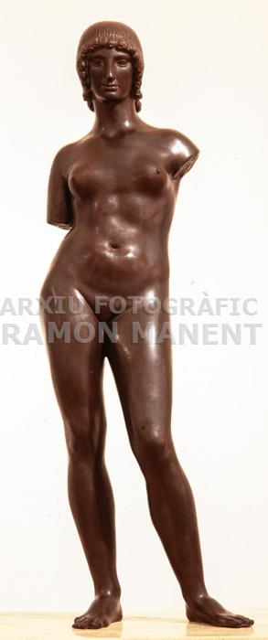 -VENUS MEDITERRANIA 
M-A M T