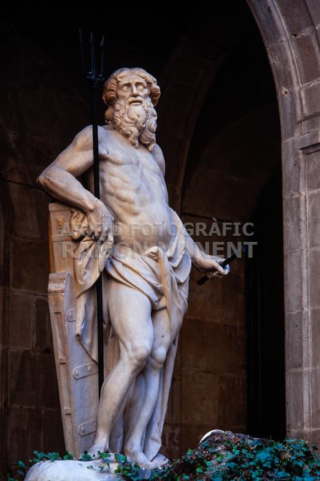 NEPTU NICOLAU TRAVE PATI DE LLOTJA