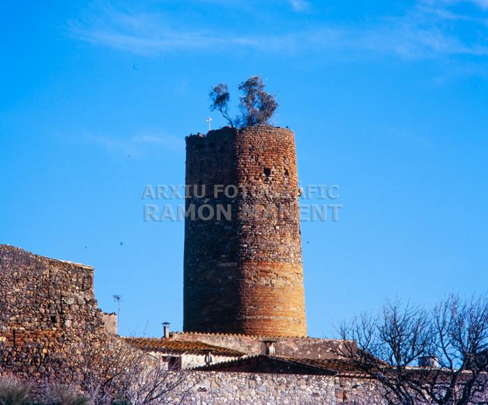 CASTELL DE CRUILLES TORRE DE L`HOMENATGE