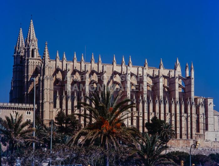 SEU DE MALLORCA S XIV XV