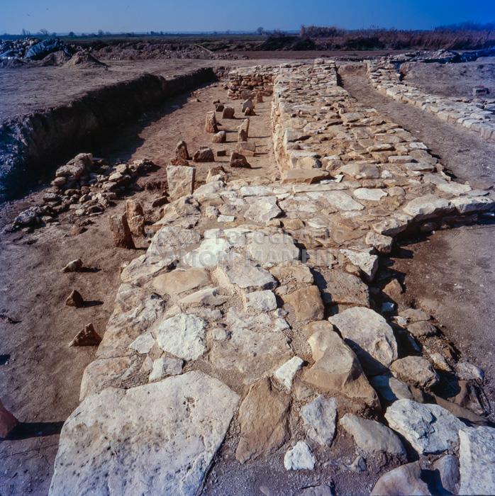 POBLAT IBERIC ELS VILARS ARBECA PEDRES DAVANT LA MURALLA SISTEMA DEFENSIU
