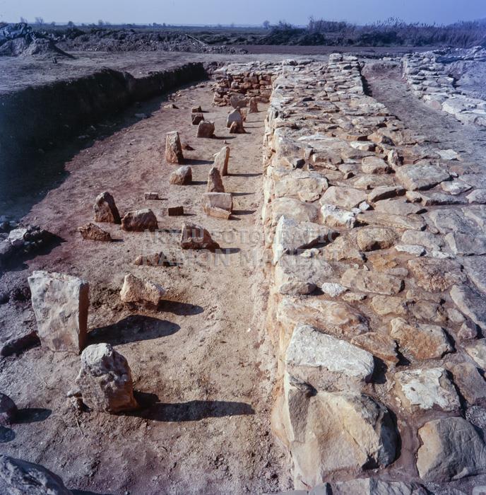POBLAT IBERIC ELS VILARS ARBECA PEDRES DAVANT LA MURALLA SISTEMA DEFENSIU
