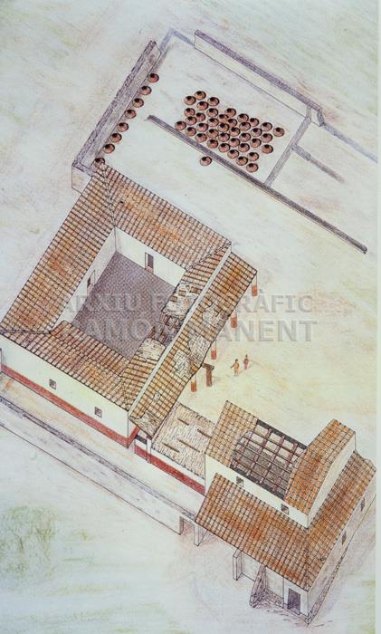 EDIFICIS D`EMPURIES DIBUIX