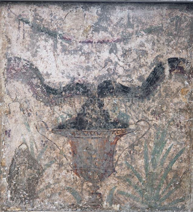 ARA ROMANA AMB PINTURA MURAL PERISTIL CASA 2B EMPURIES 
MUSEU D´EMPURIES