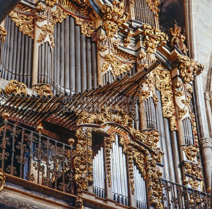 ORGUE ESGL STA MARIA MORELLA