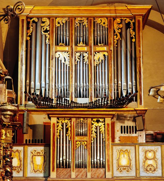 ORGUE ESGL ST MIQUEL DE VIELLA FLAUTAT