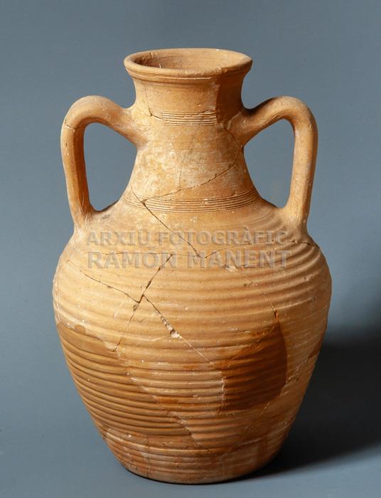 AMFORETA ORIENTAL 
MUSEU DE MATARO