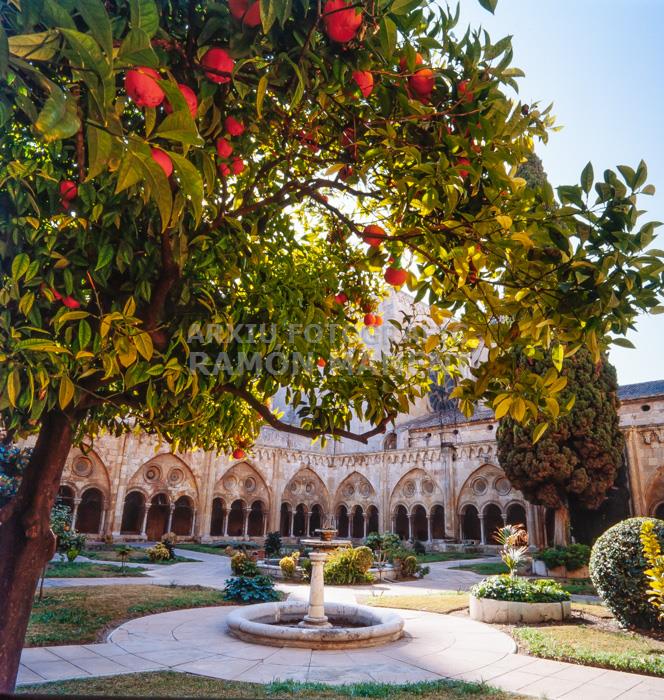 CLAUSTRE CATEDRAL TARRAGONA