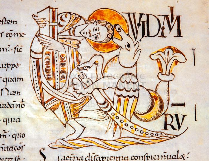 MORALS DE SANT GREGORI 
MUSEU EPISCOPAL 

