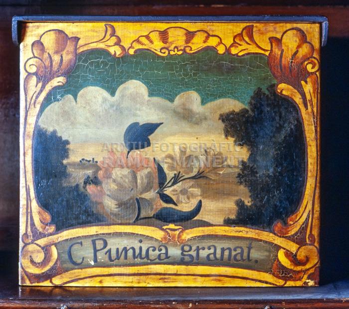 FARMACIA HOSP STA CREU CAPSES