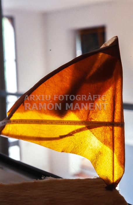 OBRA D´ANTONI LLENA AL SEU ESTUDI 2002