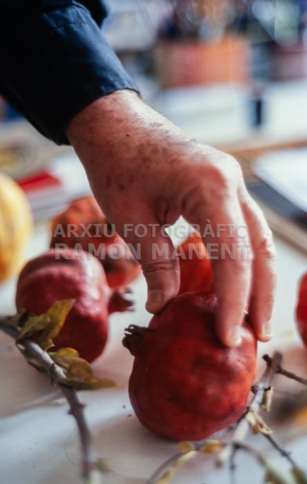 NARCIS COMADIRA AL SEU ESTUDI 2002