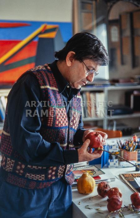 NARCIS COMADIRA AL SEU ESTUDI 2002