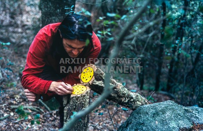 PEREJAUME MONTNEGRE 2002