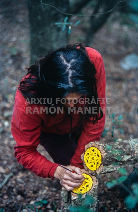 PEREJAUME MONTNEGRE 2002