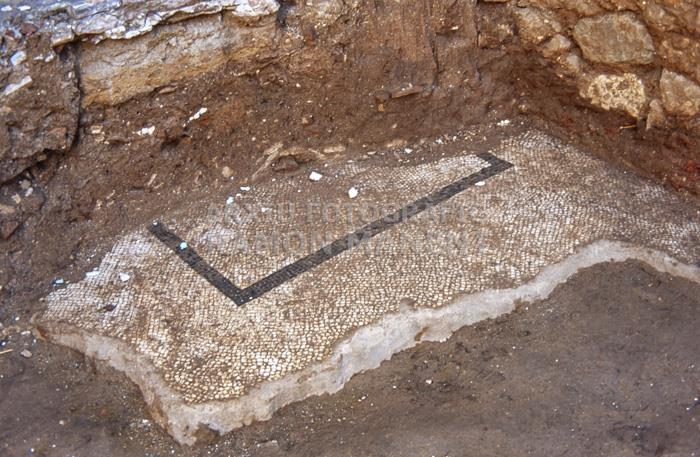 EXCAVACIONS DOMUS DE CAN CRUZATE MATARO