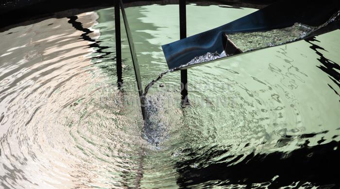 FONT DE MERCURI FUNDACIO MIRO