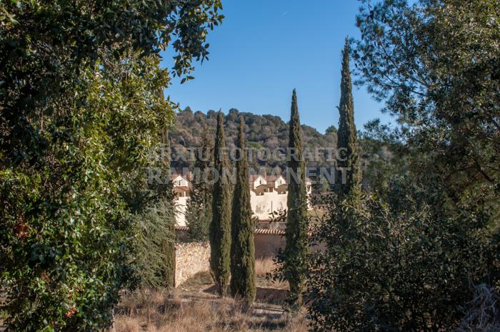 CARTOIXA DE MONTALEGRE S XV TIANA