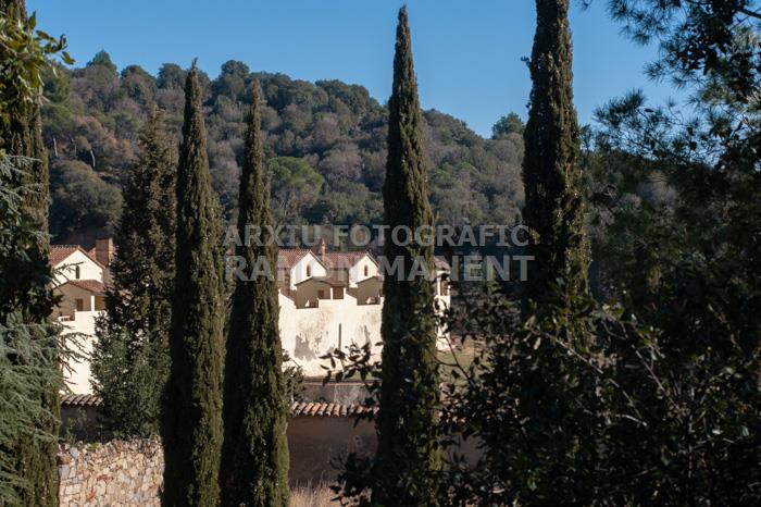 CARTOIXA DE MONTALEGRE S XV TIANA