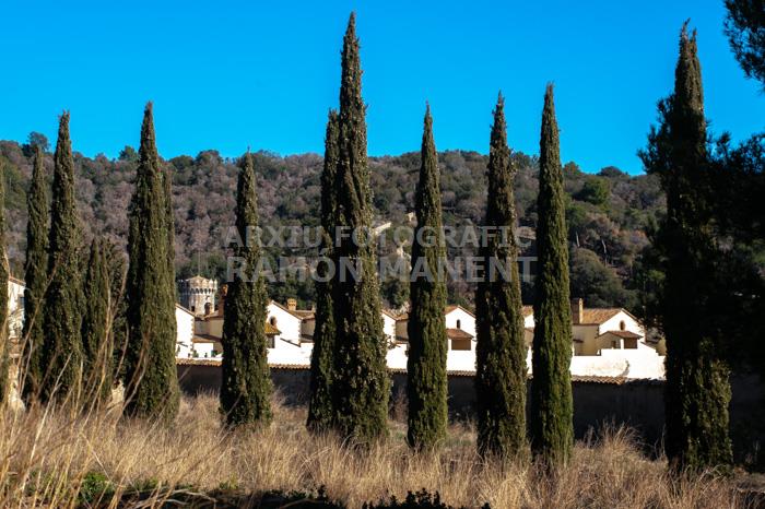 CARTOIXA DE MONTALEGRE S XV TIANA