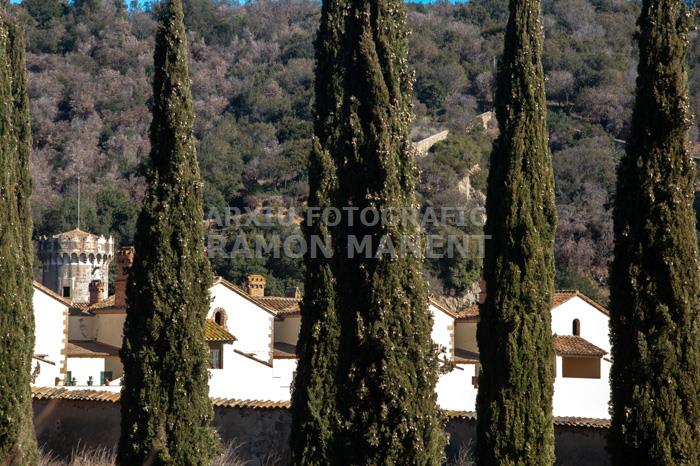 CARTOIXA DE MONTALEGRE S XV TIANA