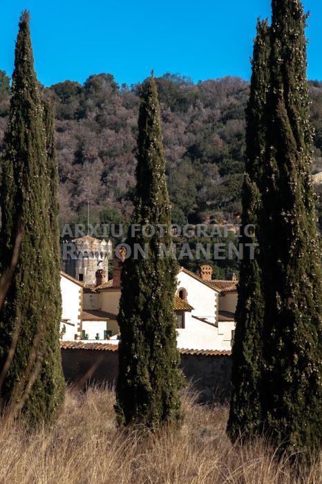 CARTOIXA DE MONTALEGRE S XV TIANA