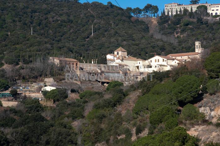 CARTOIXA DE MONTALEGRE S XV TIANA